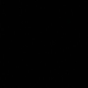 Meet your Posher, Carter